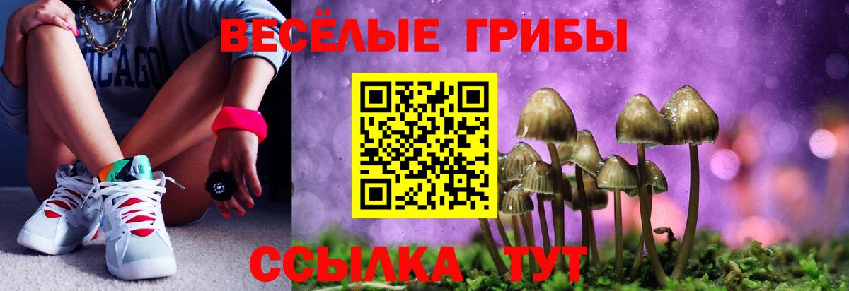Галлюциногенные грибы Psilocybe Советск