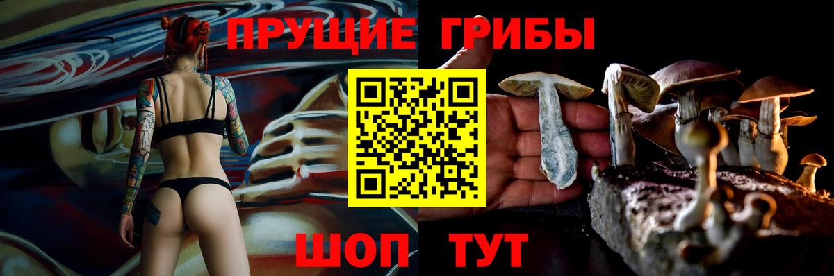Псилоцибиновые грибы Psilocybe  Псилоцибиновые грибы мухоморы  Советск  Вход с VPN 